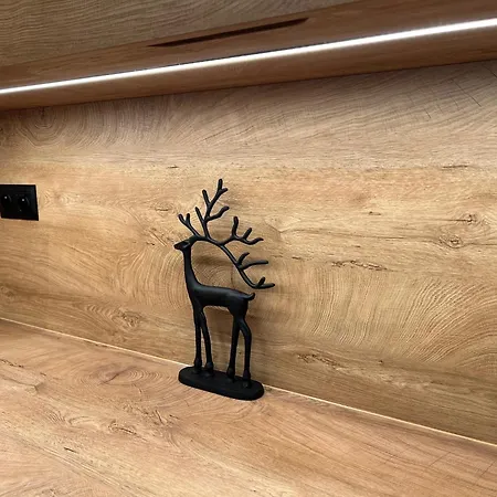Oak Liptov Apartment